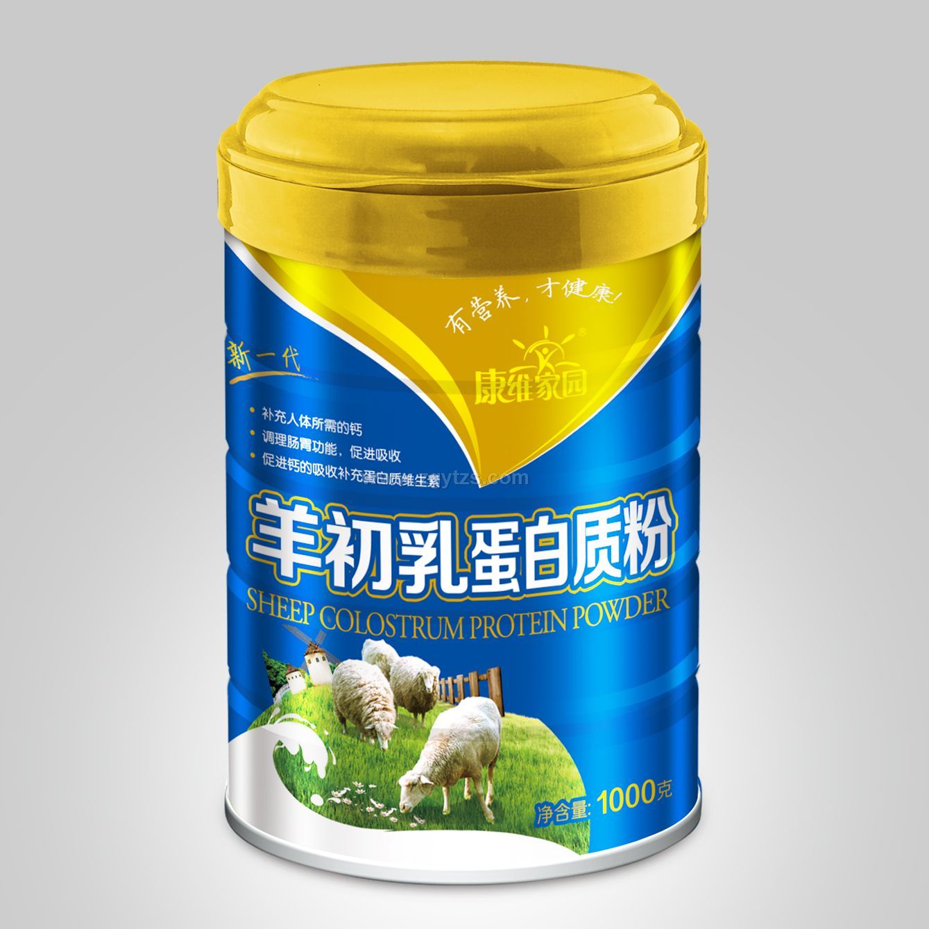 ����鵰���|��