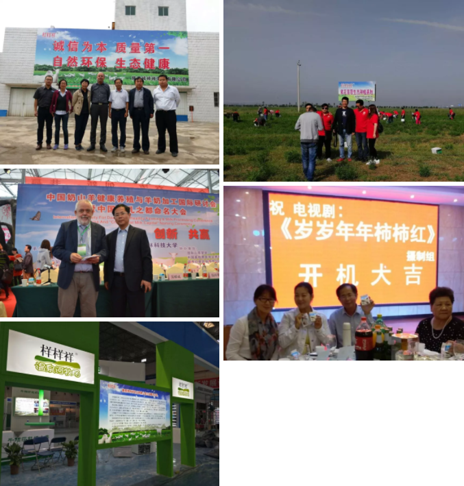 ����Ә�����I���޹�˾ ���ʡ��Ʒ�|����ȫ�·��������]��I