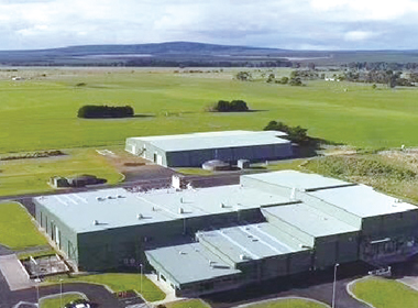 ̹�D���x˼Ľ���̷����p���嵰�ף�С���Ӟ���ɫ����һ ��Ʒ�|(zh��)���̷�