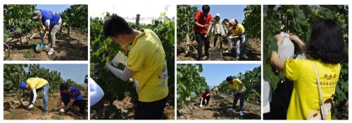 ������c��ů�������־Ը�F��̫ꖴ�һ�����^�����ﶬ