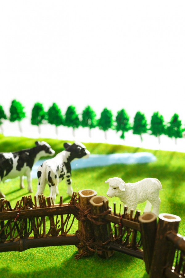 高端奶粉市場競爭激烈,眾多乳企紛紛入局 高端奶粉市場競爭激烈,眾多乳企紛紛入局