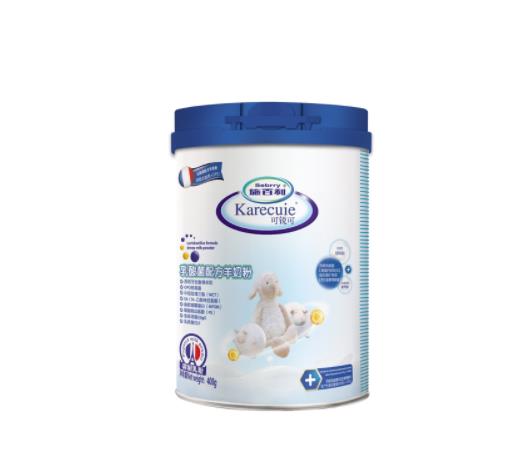 �ȵ����|(zh��)�ی�(du��)�Ћ��͌�������Щ��̎��