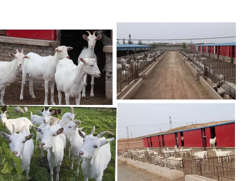 ��߅�˜�ʾ������������Ʒ��ȫ�춨���A