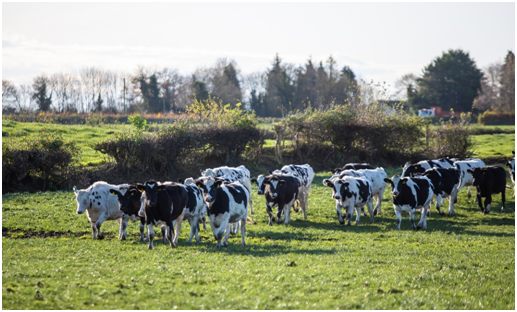 �׼��Ї�(gu��)�������й��S������һ����Դ���ڇ�(gu��)��(��i)���m¡���_(k��i)�I(y��)