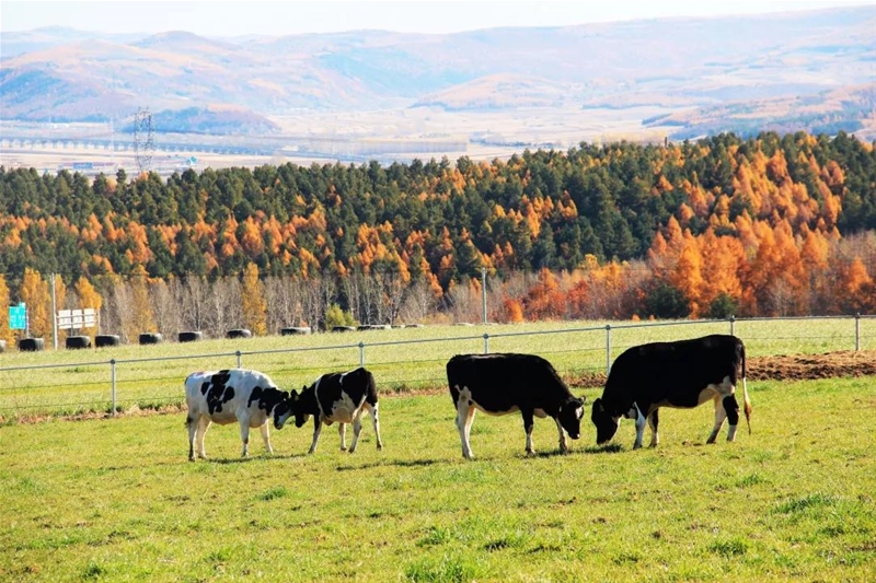 һ��ţ�̵�׃��ӛ ���V��t���ЙC(j��)������