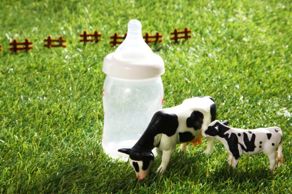 ������_��֮�£���Сĸ�����������һ�������Ñ����̷۵���Ը��(qi��ng)����