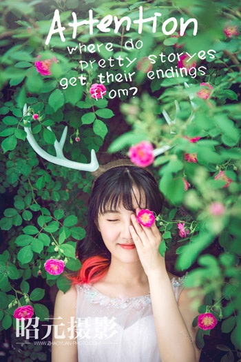 ̥���Aʾ̥���Ԅe�����לʲ��ʣ�